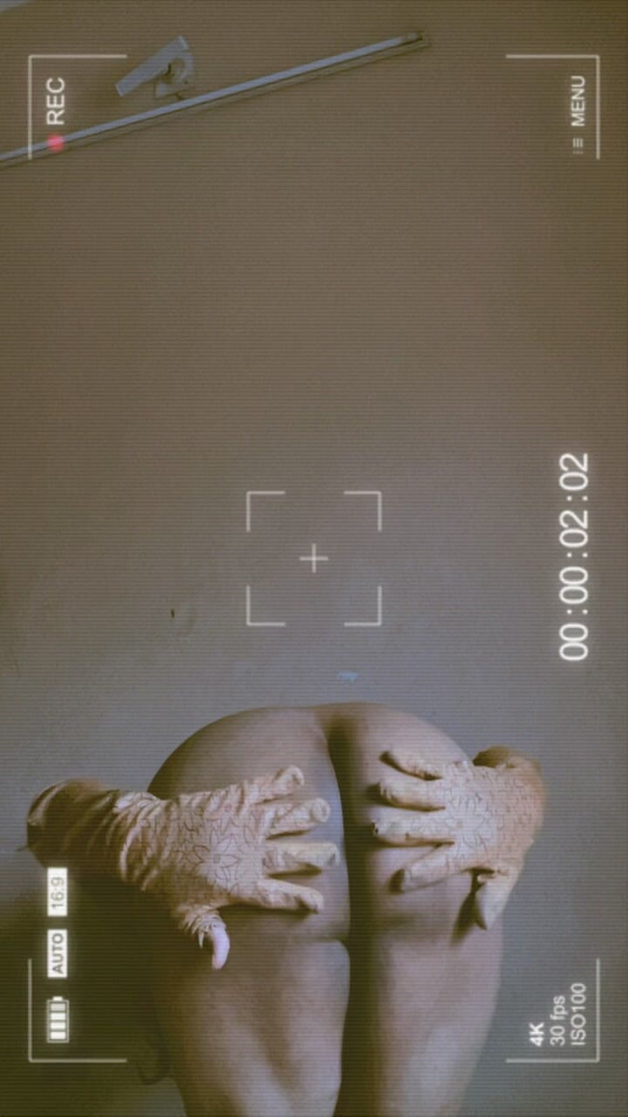 ModelMona14: Mona travestito in basso e buco del culo