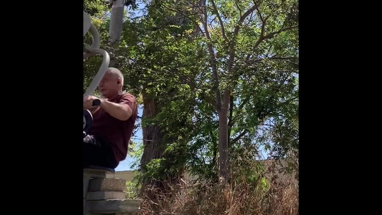 Alex Art: Film764322