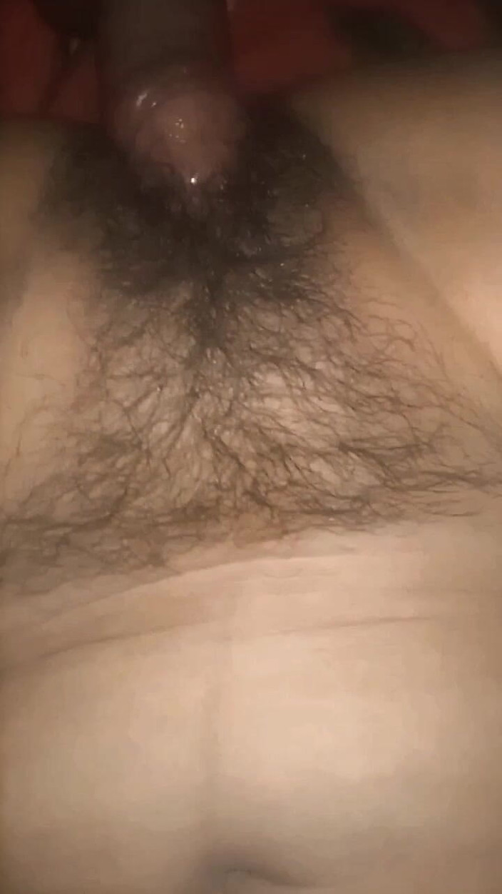 Jhon Hamster: Corp perfect