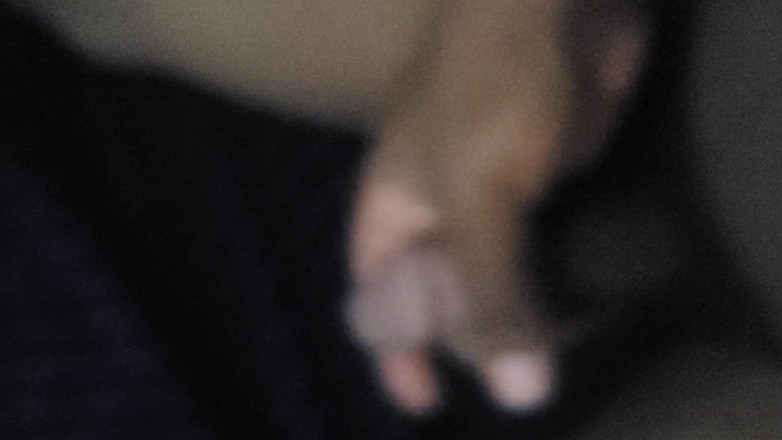 Martin55778: 첫 번째 마무리