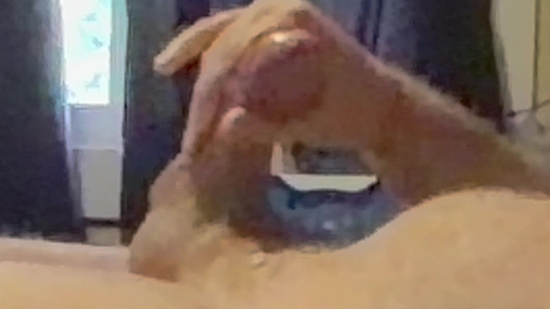 Truridge: 작은 듀얼 캠 사정