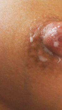 Día soleado de ordeño de tetas