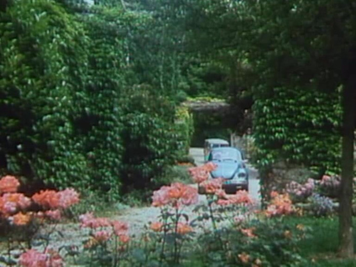 Java Consulting: Klasika u bazénu zezadu! (první scéna, 8m26)