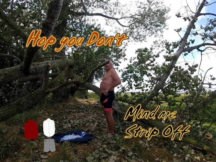 Andy: Прогулка 45 2025