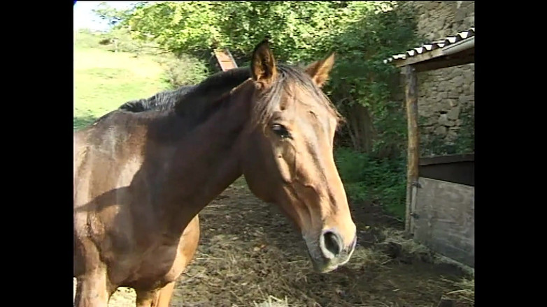 OLD Sinner: ふしだらな女2人がお尻を激しく受け止める