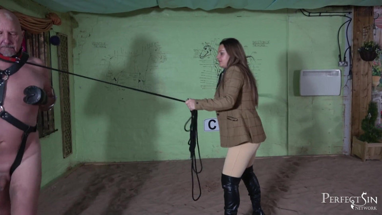 Perfect Sin Network: Training for a perfect slave