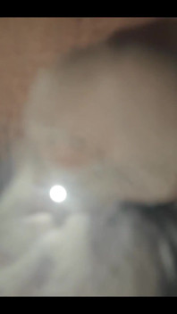 749771317682647040.mp4