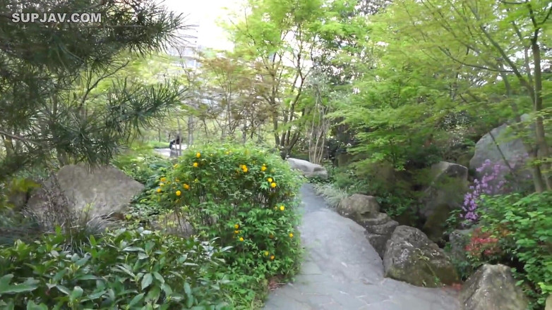 The Sexual Issues: Asiatisk ängel 22677