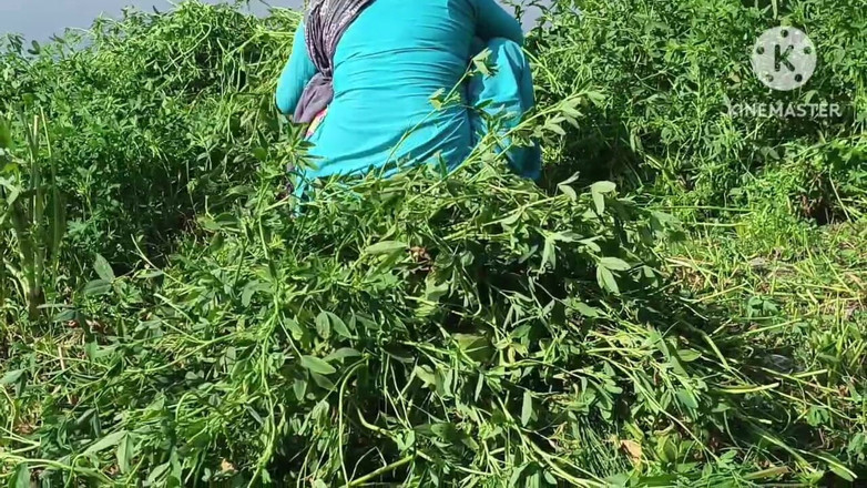 Savita5343: J’ai baisé ma belle-sœur en levrette dans un champ de...