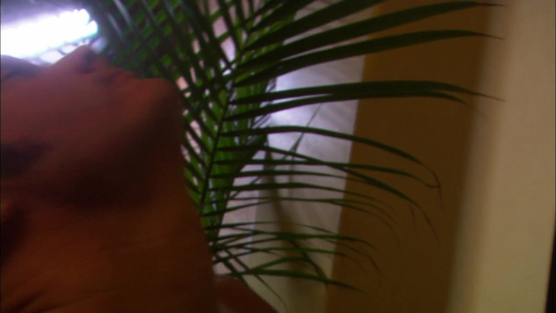 Tight little babes: A gorgeous blonde lady sucks and rides her best friend's...