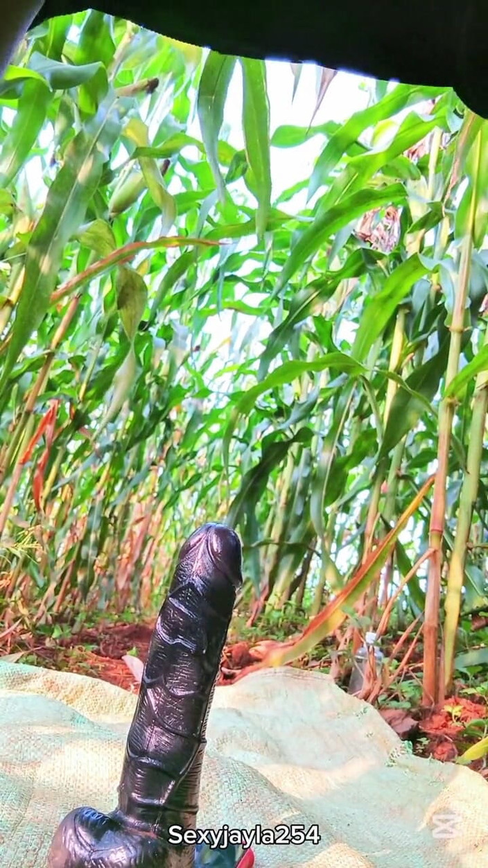 Sexyjayla254: 屋外で大きなディルドに乗る