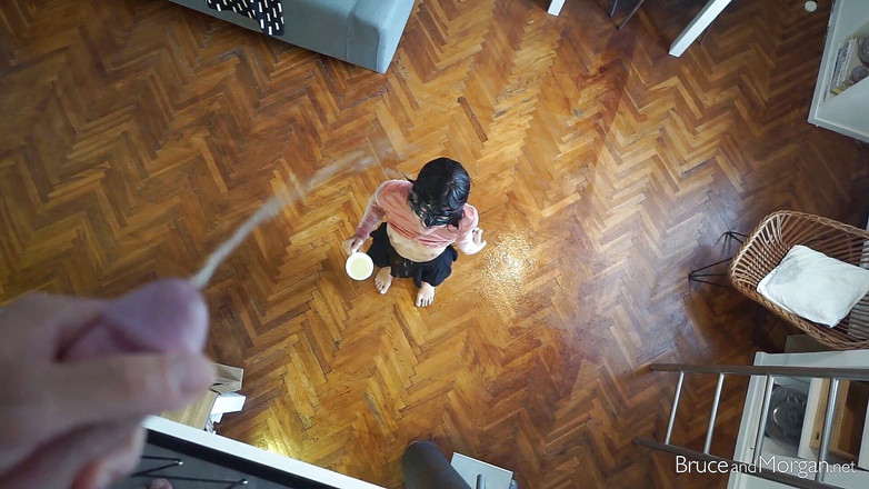 Bruce-and-Morgan: Domenica pigra con la possibilità di pioggia dorata