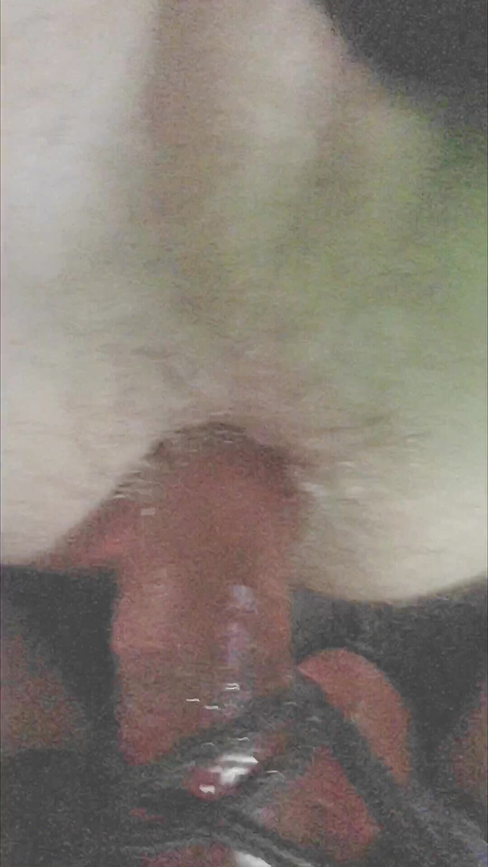 Nordic Roots & Teabeanie Scott: Tổng hợp thống trị đít của anh ấy