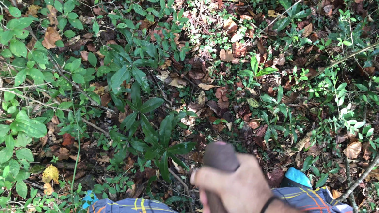 Arthur Eden aka Webcam God: POV nature trek (4K)