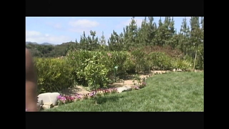 Forte Porno: Nejtvrdší kouření: plivat na mého velkého čůráka a tvrdě ho sát,...