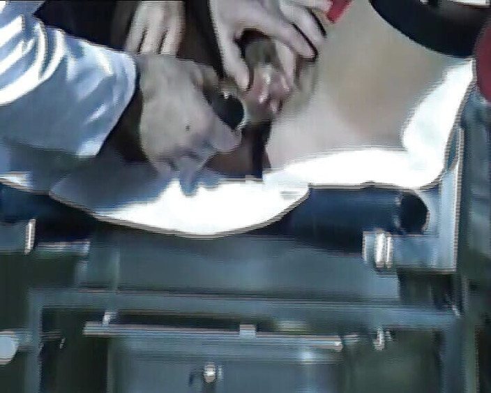 Deutsche Camgirls: Napalona Niemka dostaje swoje wilgotne dziury sprawdzone przez lekarza i...