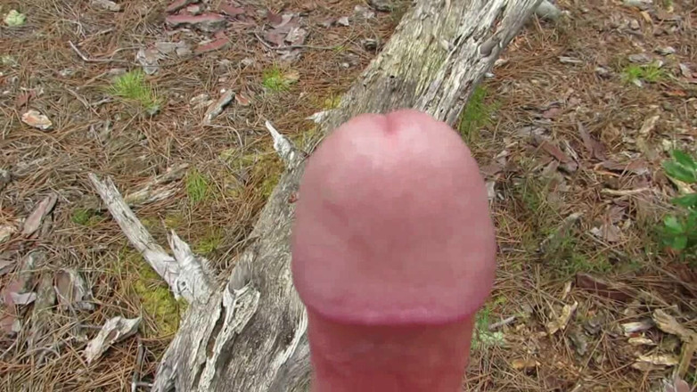 Littleschorschi: Caminata erección desnuda en el bosque público parte 6