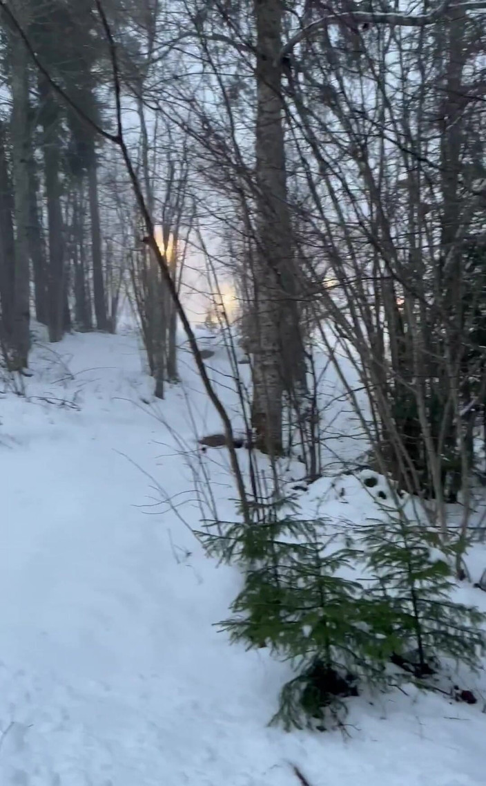 GayDuplo: Esquiando con mi polla fuera y siendo muy travieso