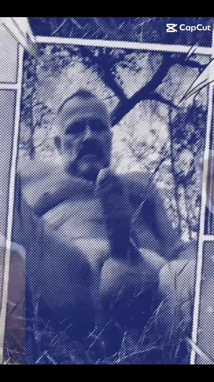 Daddybearvlc: Yaramaz tiktoks hehehe'imden biri bunları seviyorum.