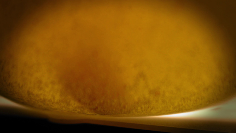 Julie_Bliss: Riesin häschen glückseligkeit