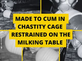 Mistress BJQueen: Made to Cum in Chastity Cage Restrained on the Milking...