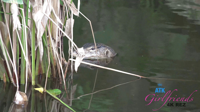 ATK Girlfriends: Virtuální dovolená Ostrov Tioman Elena Koshka 6/6