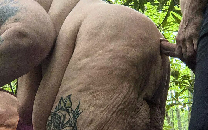 HerculesnVENUS: Dobrei esse estranho na árvore coberta de floresta