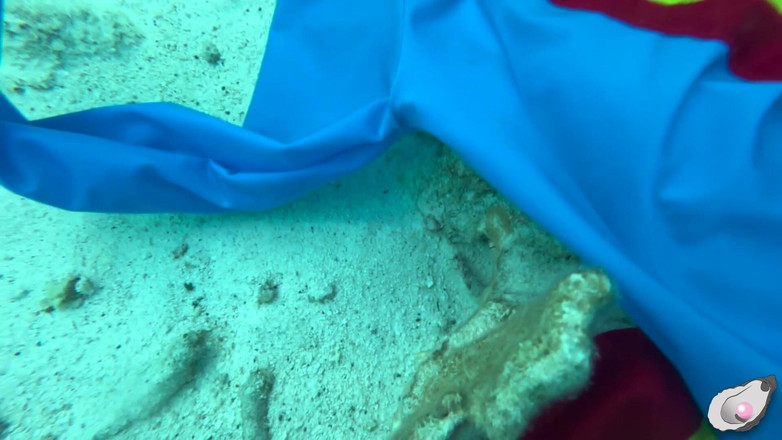 Mistress Pink Pearl: 超女在博内尔遇到最饥渴的章鱼