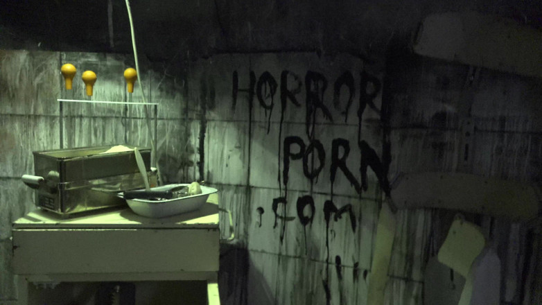 Horror porn: 공포 포르노 17: 여자 거미