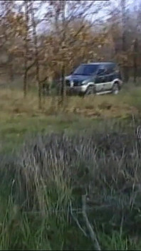 Busty Horny MILF Have Sex in the Muddy Forest