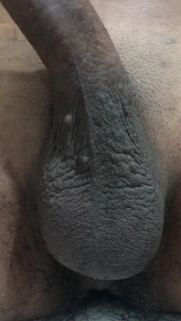 Suck My Penis, Get My Milk