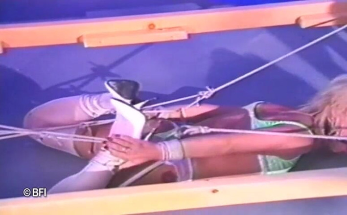 Art of Bondage: Dominated hog tied - DVD