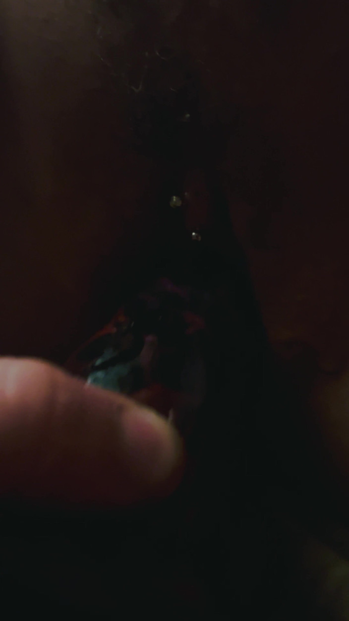 Jay Parker: ペイジはクリーチャーのペニスが好き