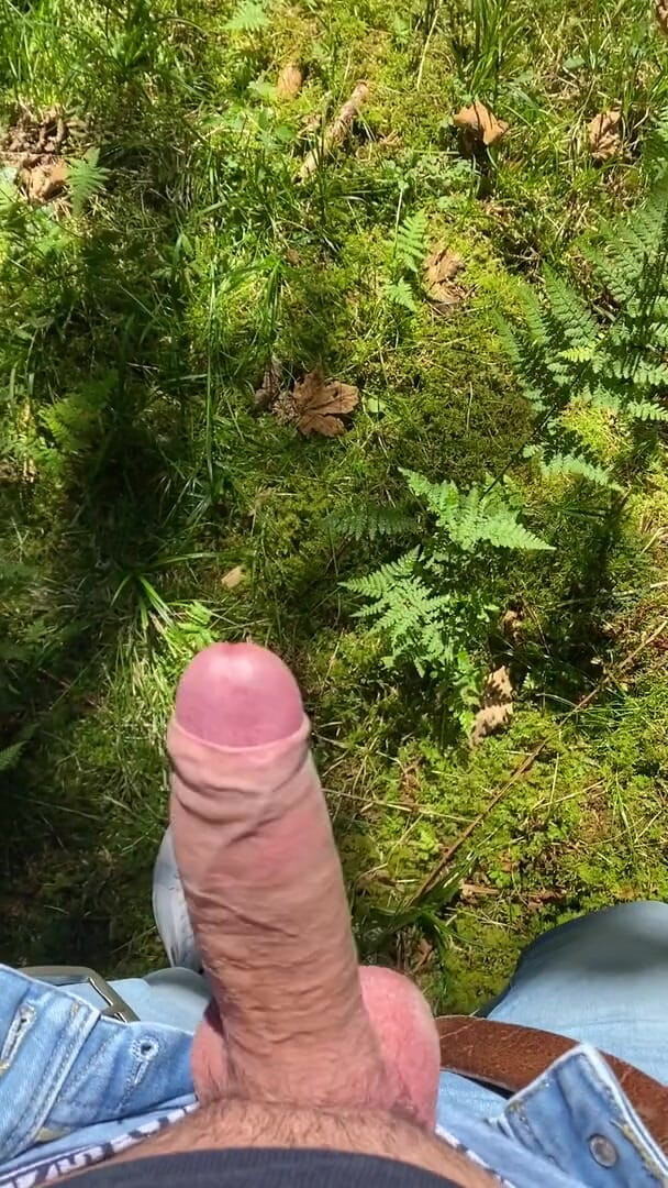 Zaharia: Forest wanki 2