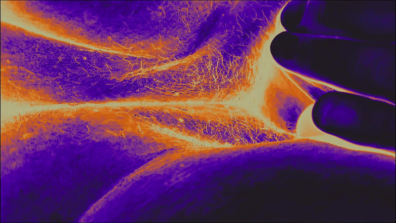 Lily & Theo: 穏やかな驚愕のフットマッサージと官能的なうめき声