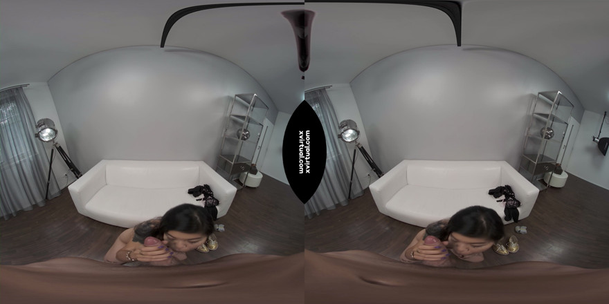 Xvirtual: X Virtual 24 Czechcasting - Irina Menelan dalam 180 °