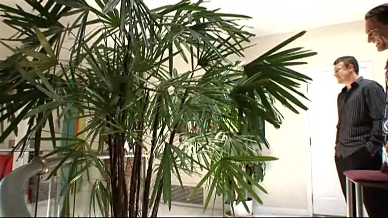 The Dark Side X: Een zwart meisje een lul in haar poesje en een...