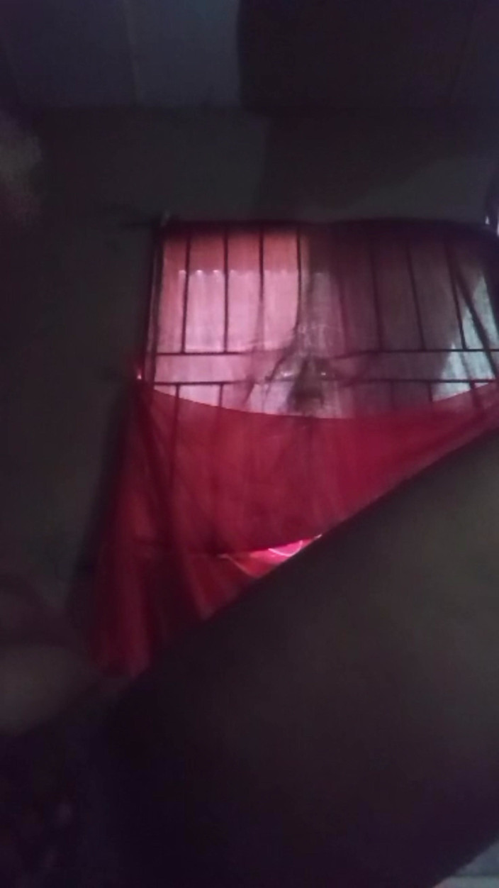 Lovelee: Home Made Video