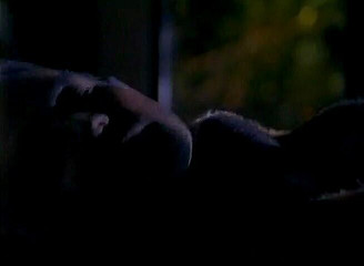 Analiscius: Mifl si cewek semok rambut pirang dientot anal di luar...