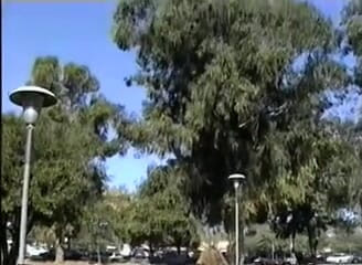 Outdoor pervs: College bro picks up teen slut for quickie in the...