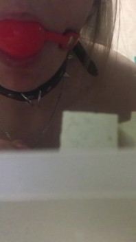 Cooking While Wearing a Collar and a Gag - Lovessie