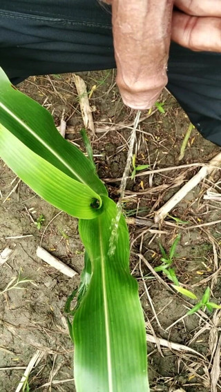 Desimast7: Pissing on Grass in Outdoor