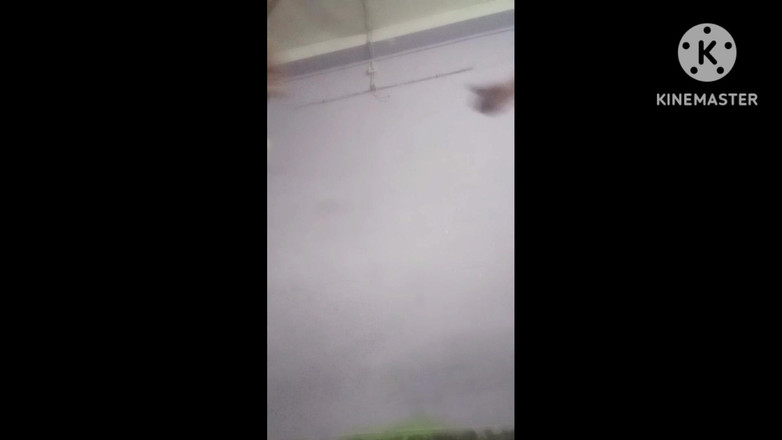 Latifah1234: Muy sexy cuerpo grandes tetas gran local sexo novio novia...