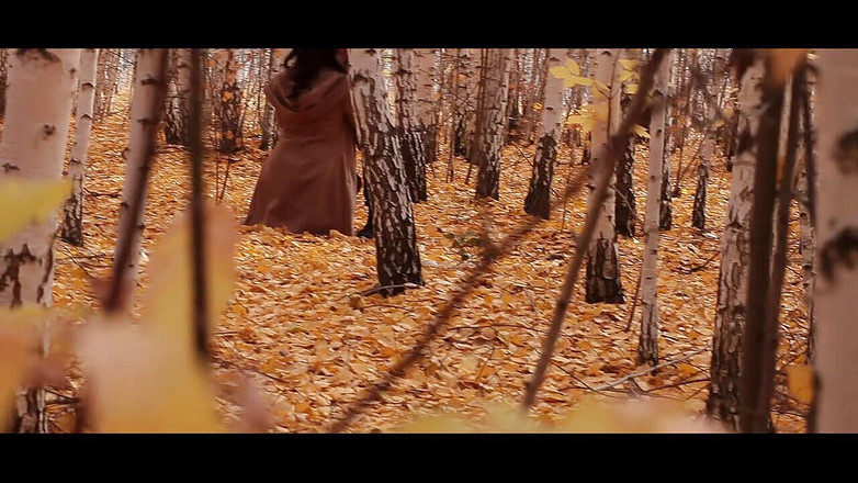 Playground porn: L'ho dato in bocca a una ragazza nella foresta