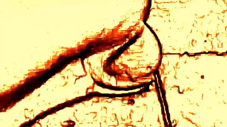 Doublewaves: Obří pomsta