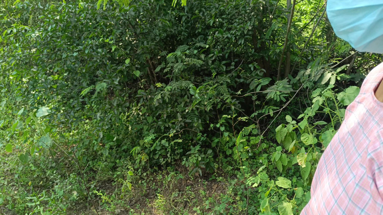 Apple baby: 制服女大学生户外