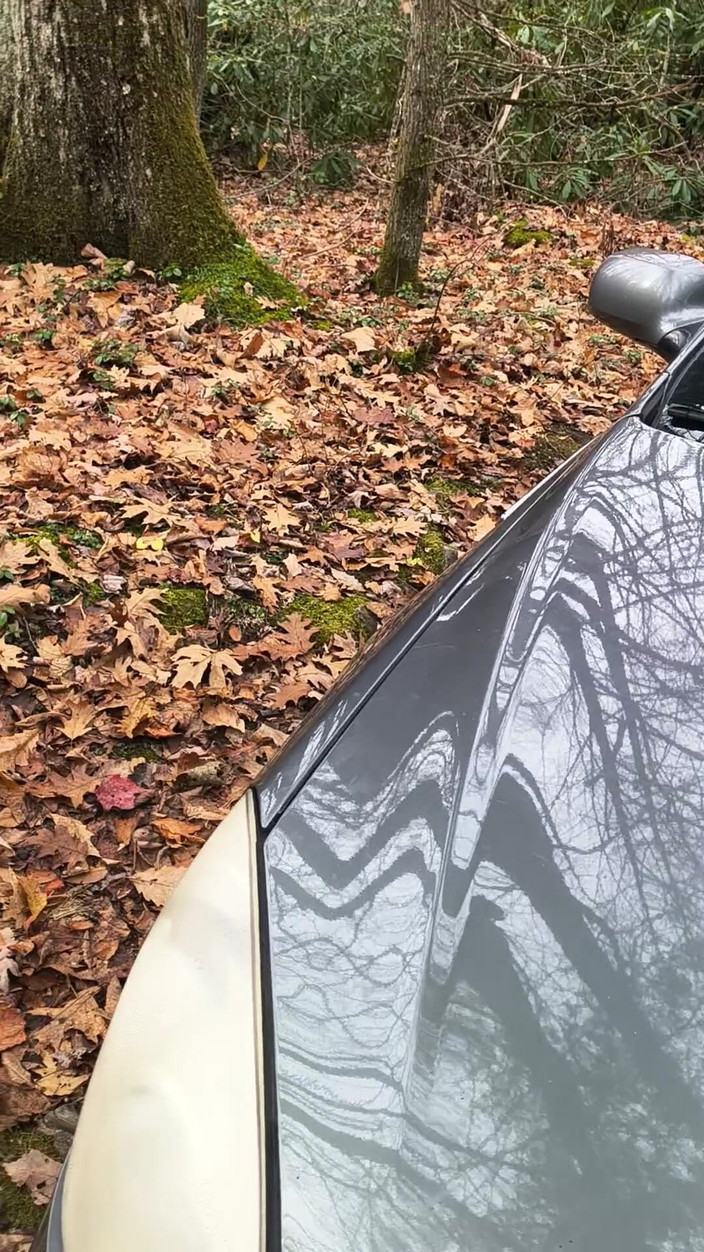 HerculesnVENUS: ボンネットの上で、誰が見ていようと、彼女が失うように道路に向かってスカートしろ