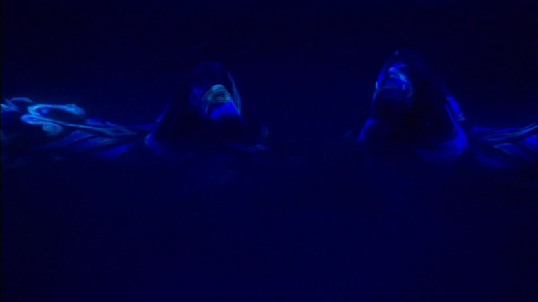 Foxy Desire: Beautiful scene with two hot lesbians fucking in blue