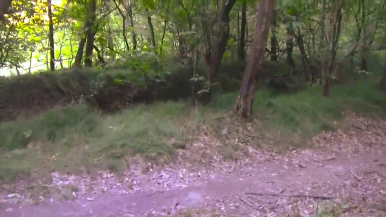 BELLOeBIOTTO: Cumshot yang bagus dan panjang, bertelanjang dada, di hutan umum