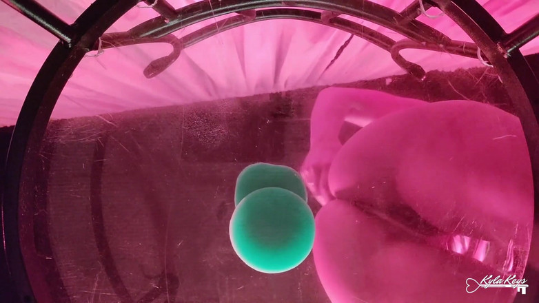 Kyla Keys: Uma vista do fundo